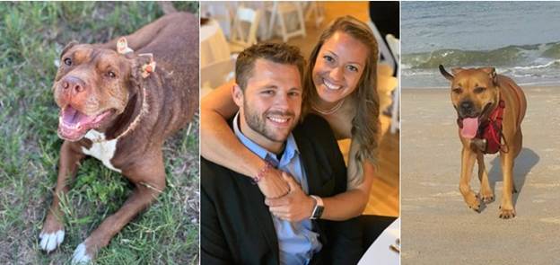 A collage of two people
AI-generated content may be incorrect.